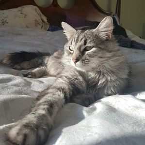 Meet your Posher, Erin